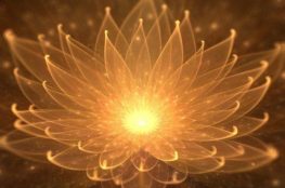 Markets inch higher in late trade. Nifty above 24,800, Sensex rises 320 ...